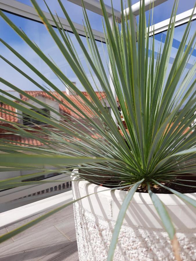Sitius 5B - New Seaview Apartment With Rooftop Terrace In Historical Centre Sitio Da Nazaré Dış mekan fotoğraf